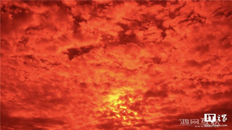 如何用 iPhone 拍出“德味”照片？