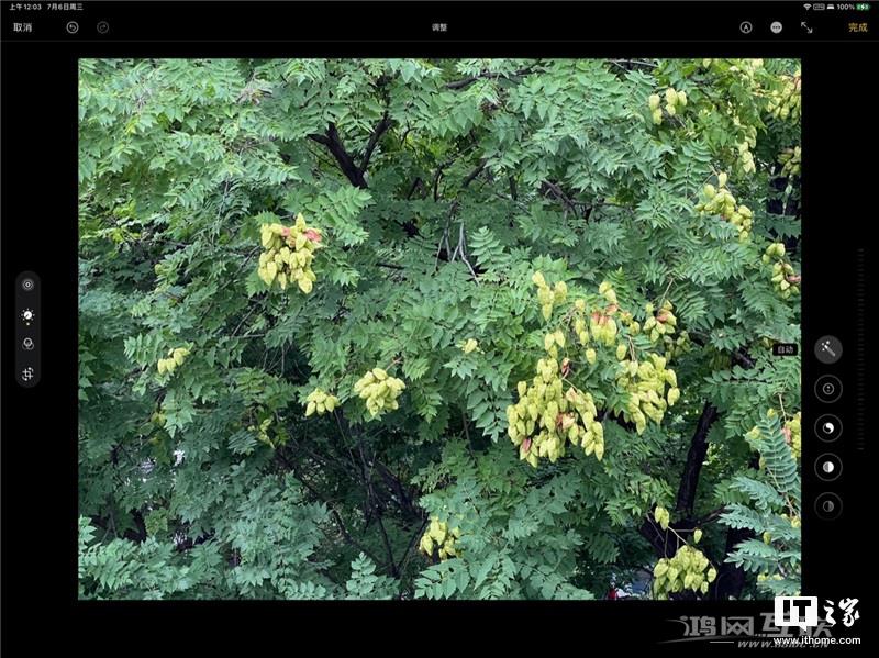 如何用 iPhone  拍出“德味”照片？插图27