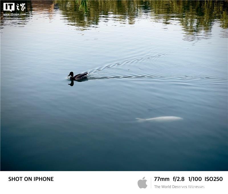 如何用 iPhone  拍出“德味”照片？插图45