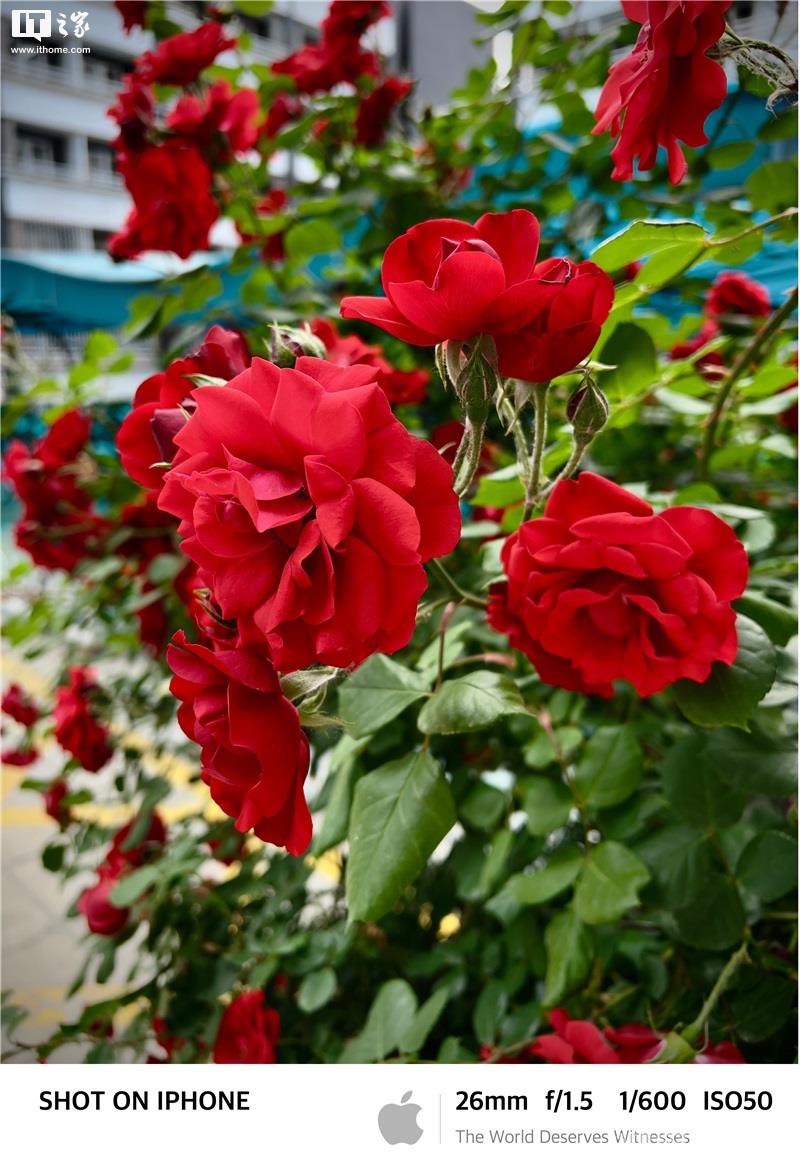 如何用 iPhone  拍出“德味”照片？插图49