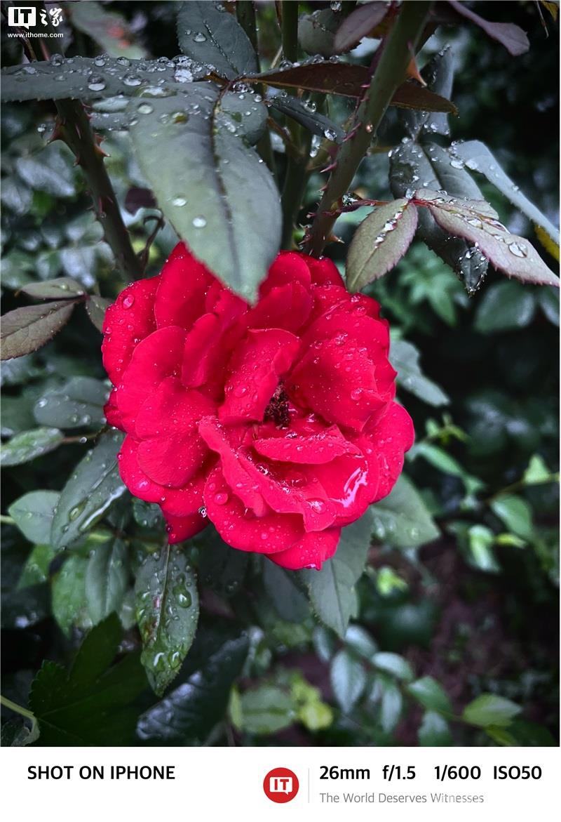 如何用 iPhone  拍出“德味”照片？插图55