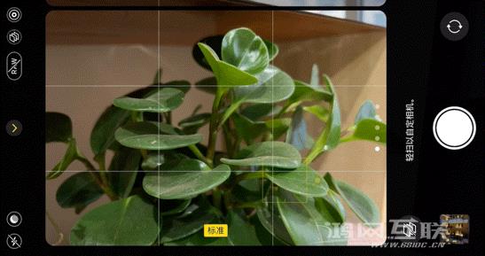 如何用 iPhone  拍出“德味”照片？插图57