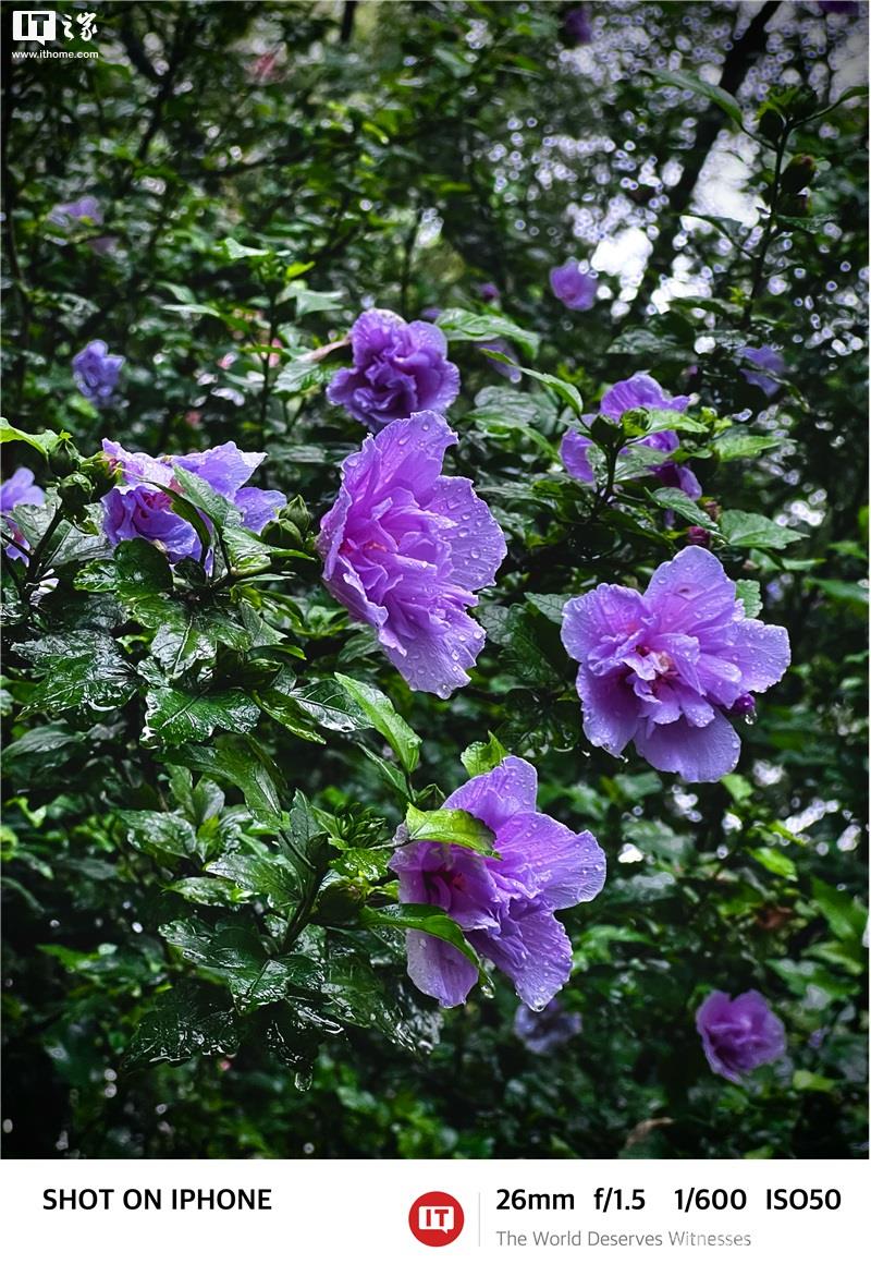 如何用 iPhone  拍出“德味”照片？插图61