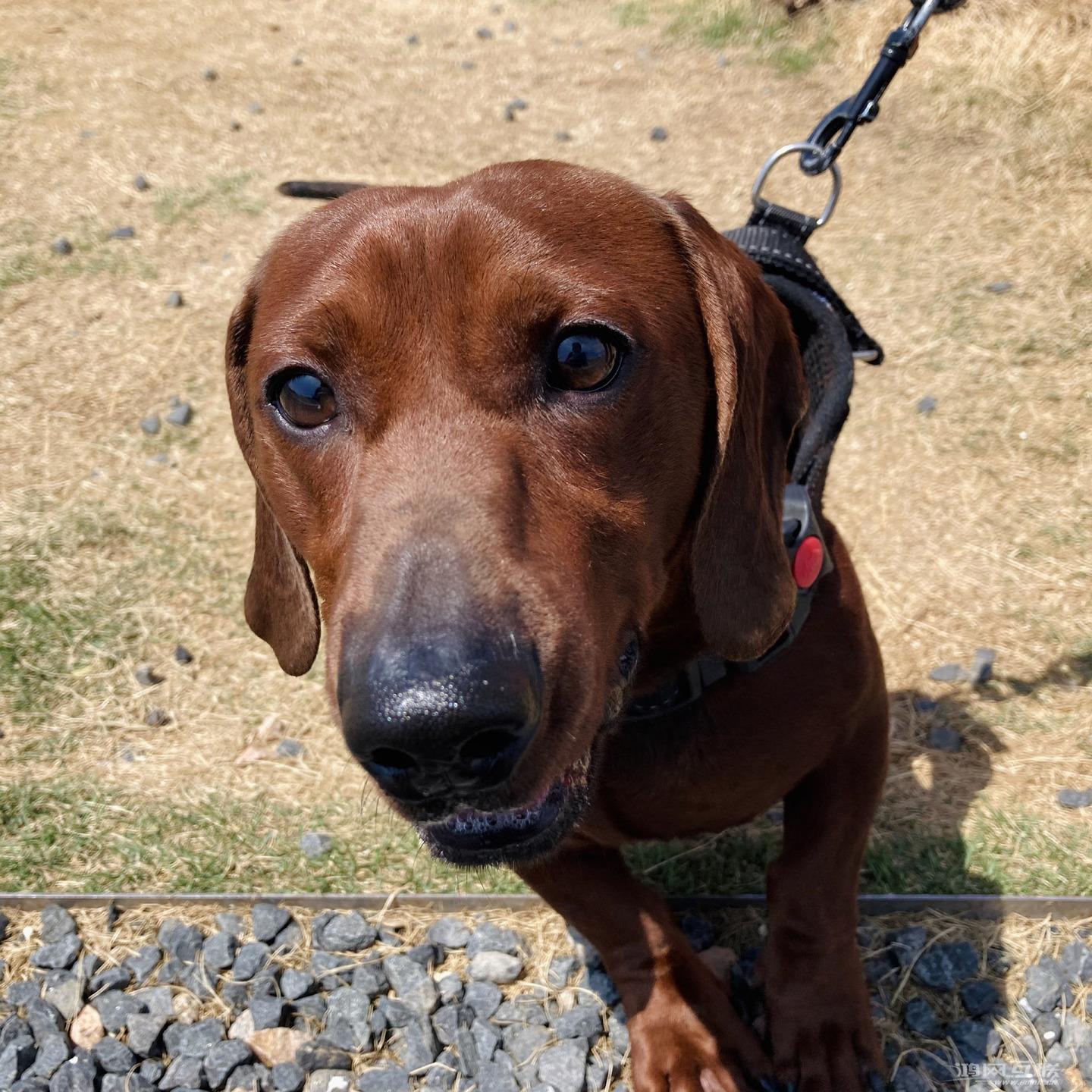 摄影助力新iPhone  SE2，用单摄像头拍出风格迥异的作品插图27