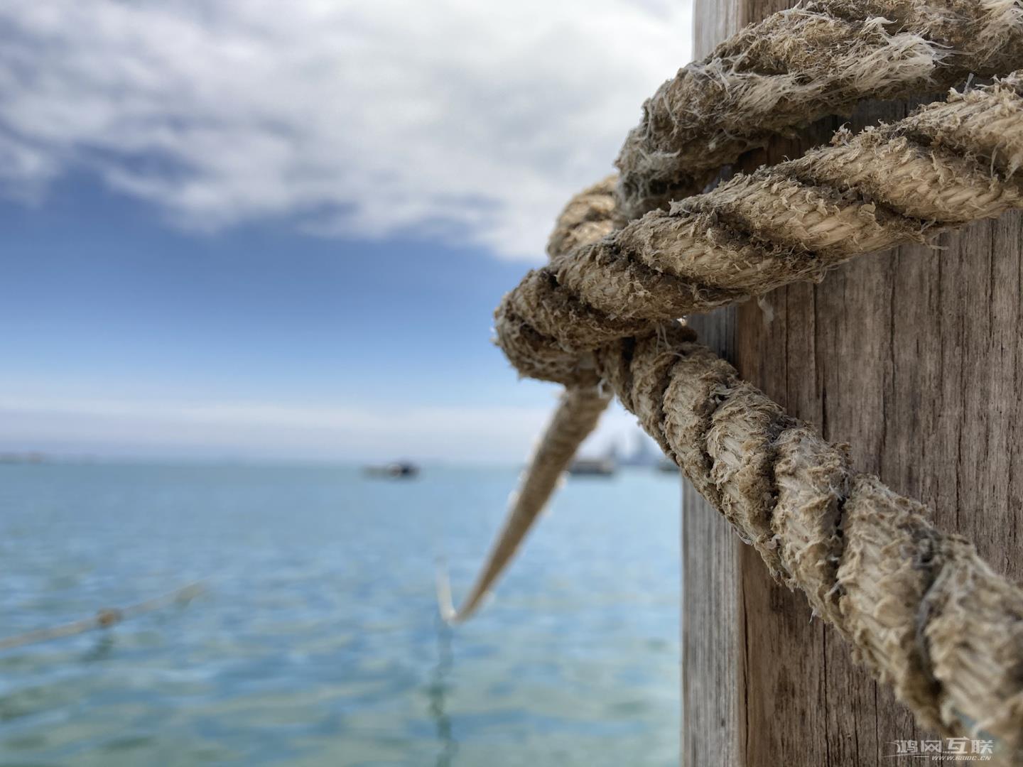 摄影助力新iPhone  SE2，用单摄像头拍出风格迥异的作品插图23