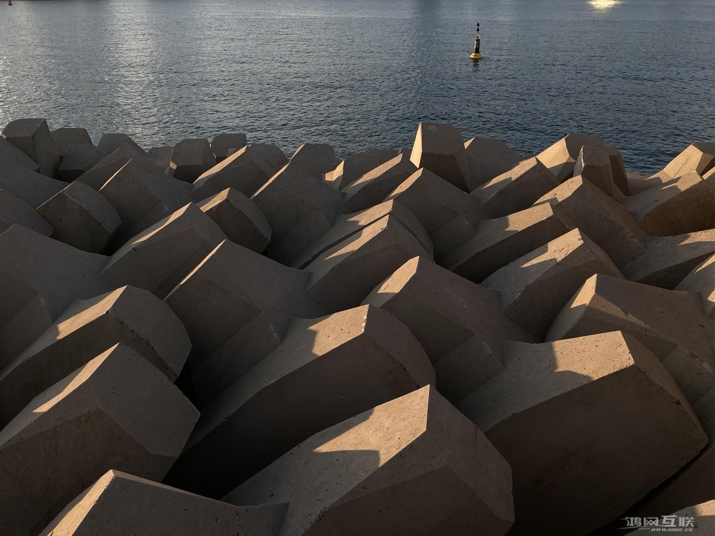 摄影助力新iPhone  SE2，用单摄像头拍出风格迥异的作品插图31