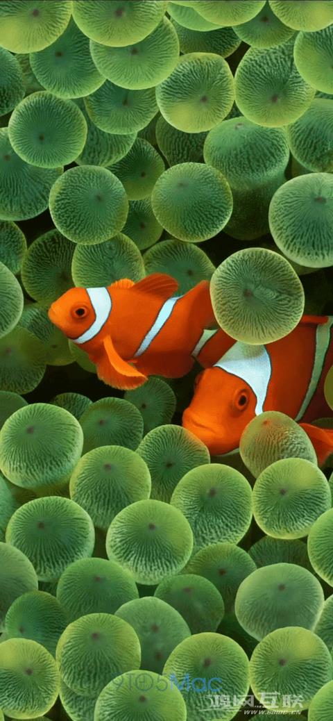 苹果Apple  TV+首部长篇动画电影《Luck》正式上映插图3