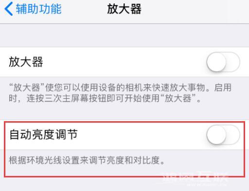 iPhone  屏幕变暗的 5 个解决办法插图9