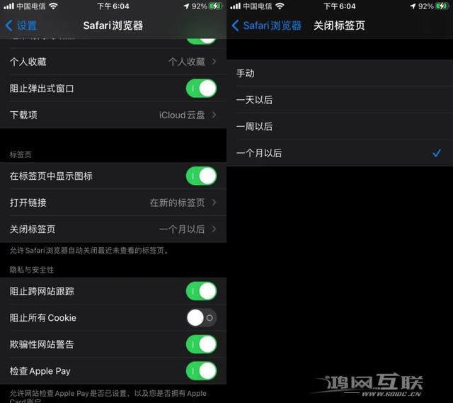 一键关闭所有 Safari  标签页的方法（两种方法教你快速关闭标签页）插图3