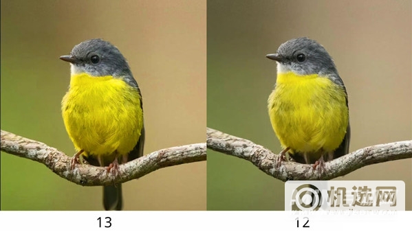 iPhone 13和iPhone 12拍照对比-哪个拍照效果更好？