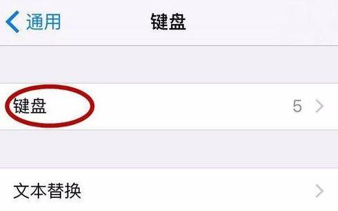 苹果上怎么将输入法设置为默认