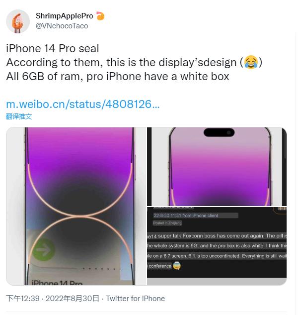 iPhone 14 Pro 封装贴纸采用白色包装盒