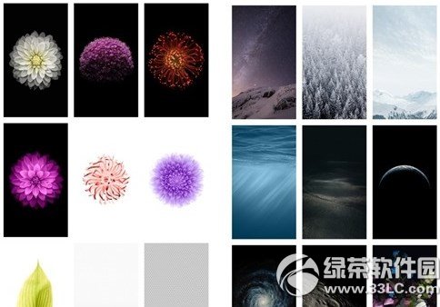 ios8 gm壁纸下载地址：ios8gm壁纸官方版下载