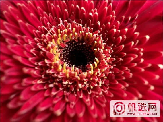 iPhone 13 Pro有微距吗？-支持微距拍照吗？