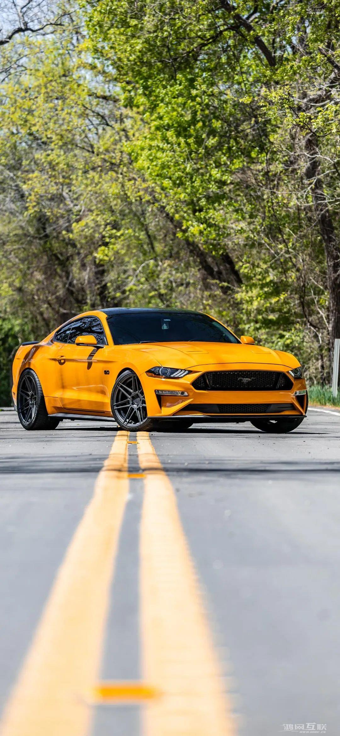 苹果剧透：iPhone  14新变化提前看！（附壁纸）插图15