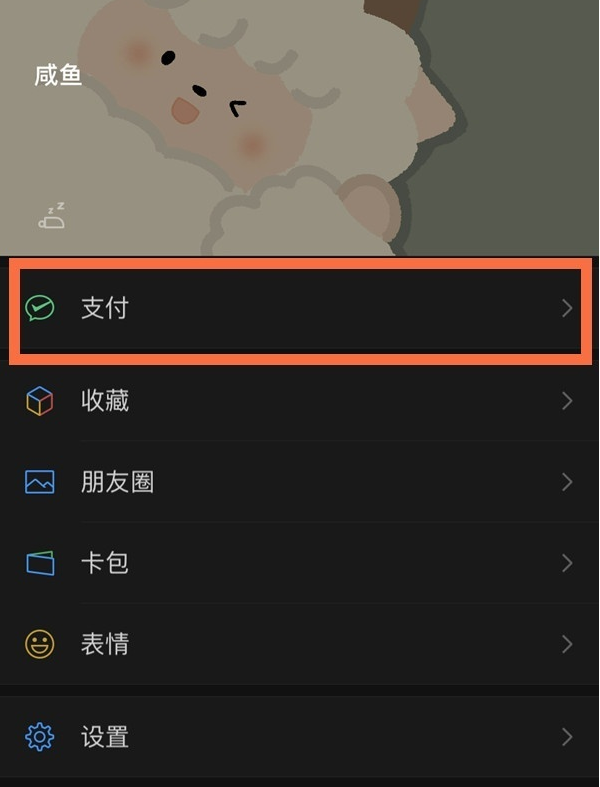 苹果支持微信应用加密吗