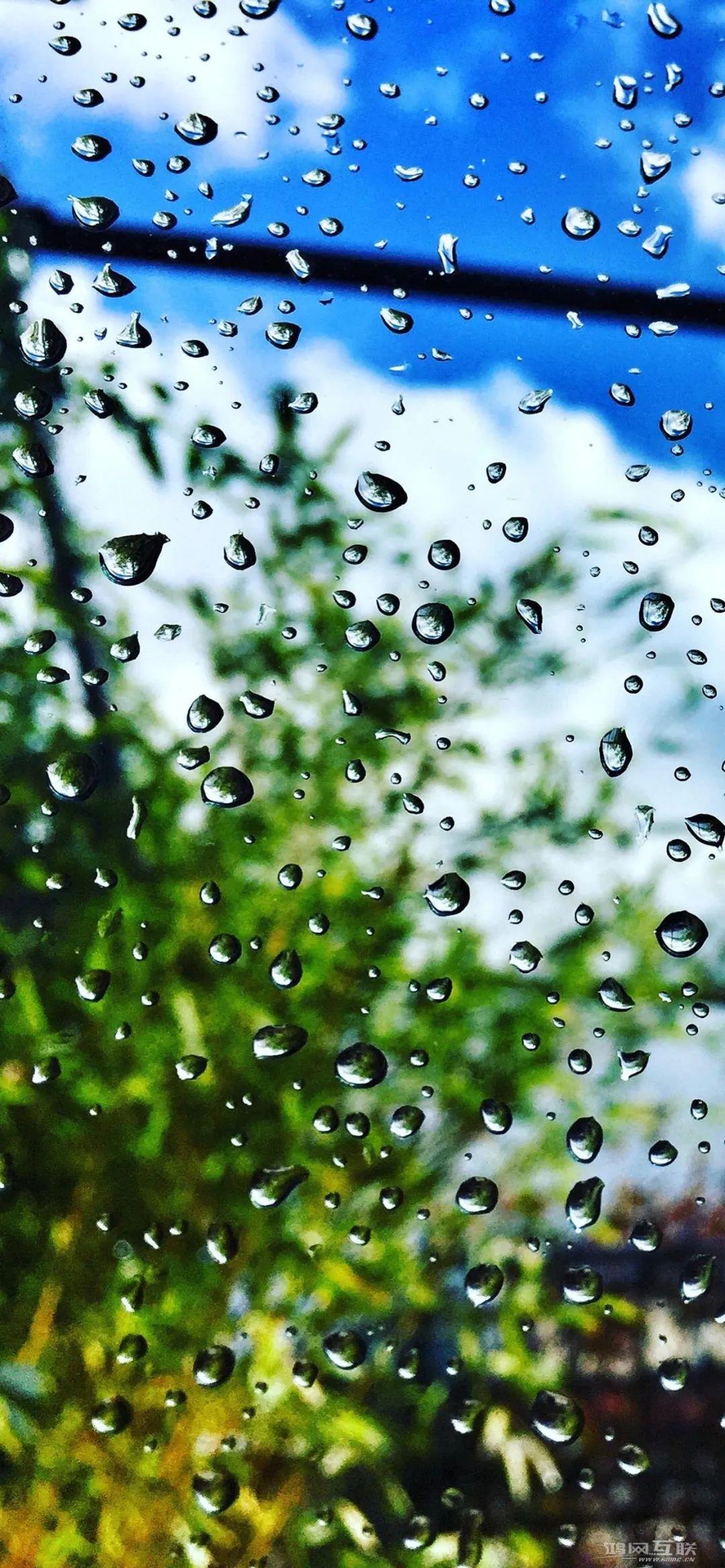 iPhone  14未发布就被禁售？苹果：我不服！插图7