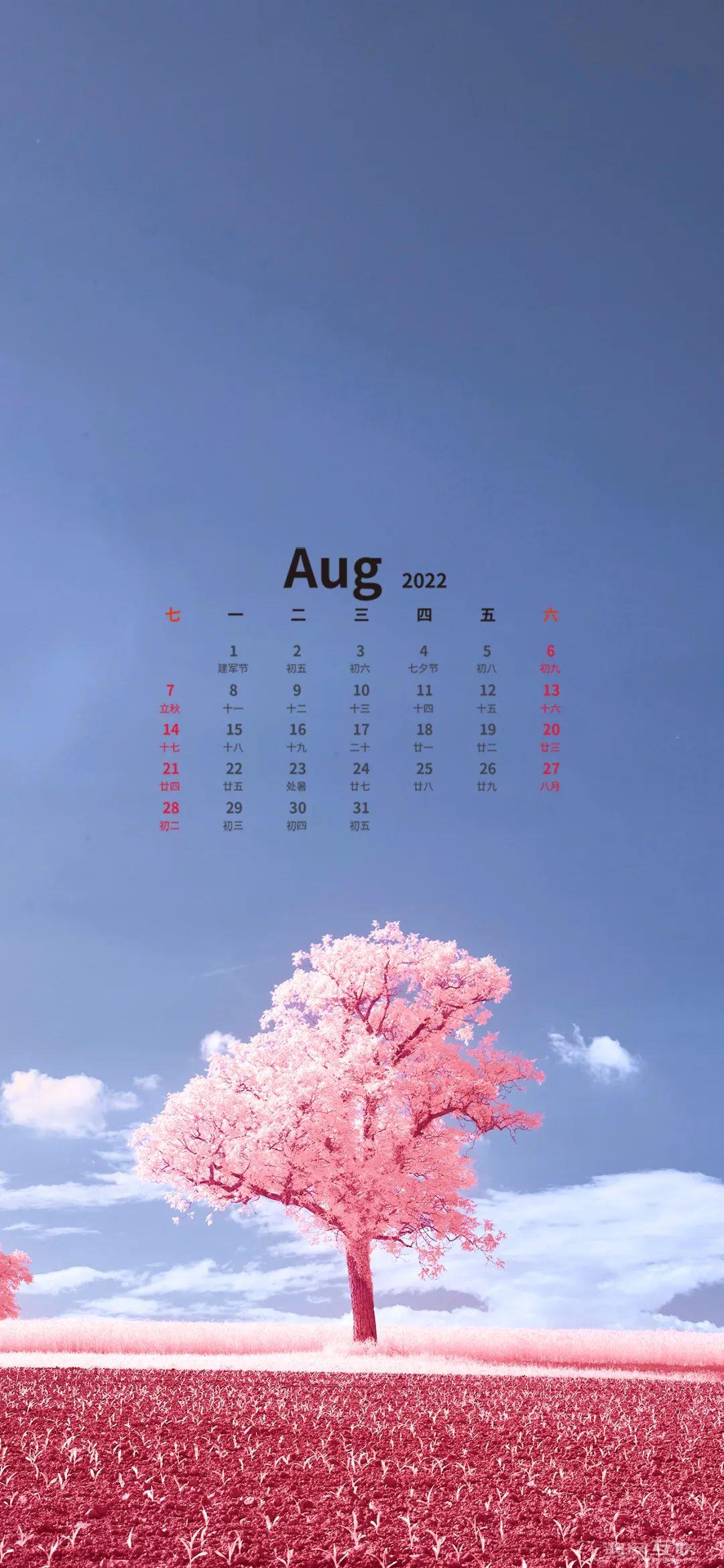 iPhone  14未发布就被禁售？苹果：我不服！插图3