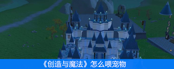 创造与魔法怎么喂宠物