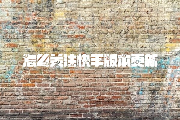 怎么关注快手版本更新