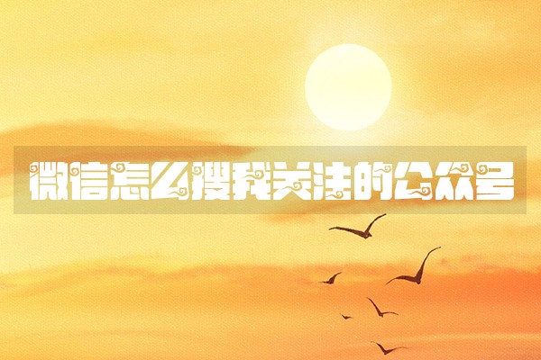 微信怎么搜我关注的公众号