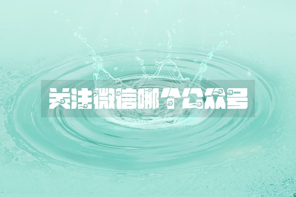 关注微信哪个公众号