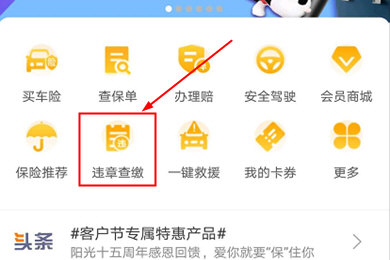 阳光车生活怎么交违章 看完你就懂了