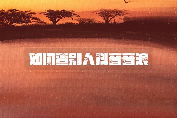 如何查别人抖音音浪