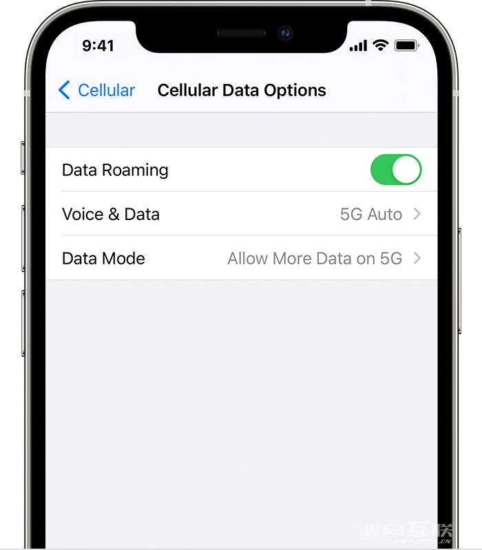 如何在 iPhone  12 上使用 5G？不显示选项怎么办？插图3
