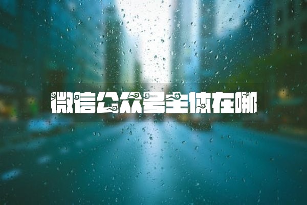 微信公众号主体在哪