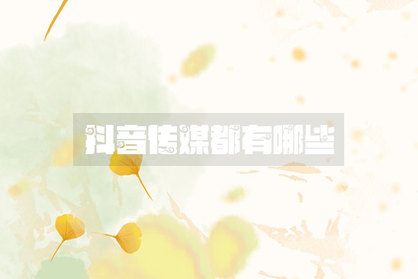 抖音传媒都有哪些