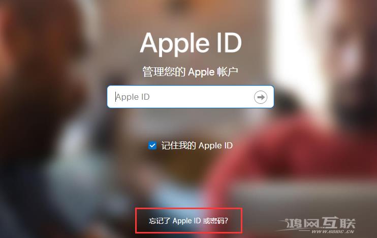 在 iPhone 12 上登录 Apple ID 时遇到问题怎么办？