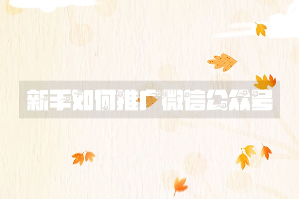 新手如何推广微信公众号