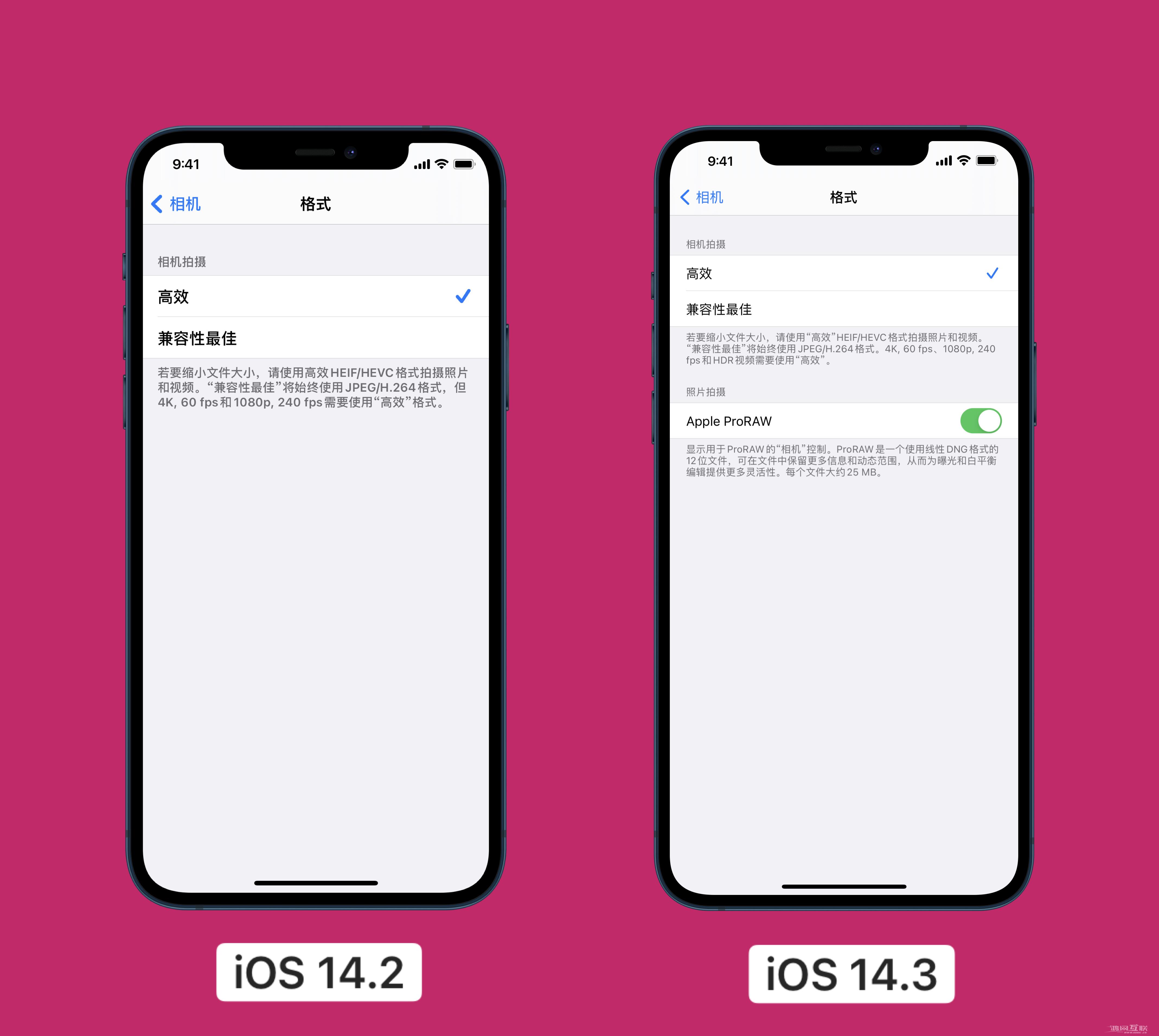 如何在运行 iOS  14.3正式版的iPhone  12上拍摄 ProRAW  格式照片？插图13