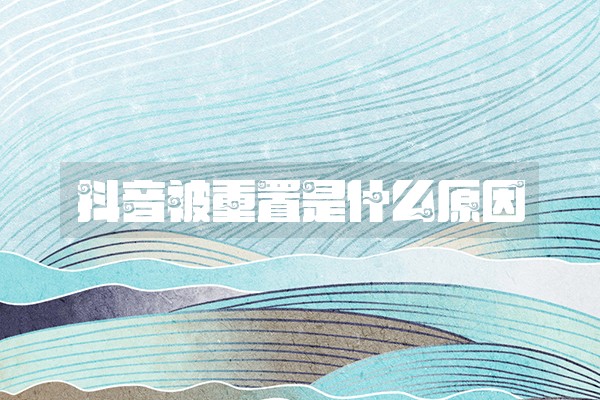 抖音被重置是什么原因