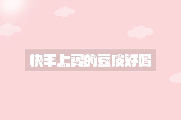 快手上买的豆皮好吗