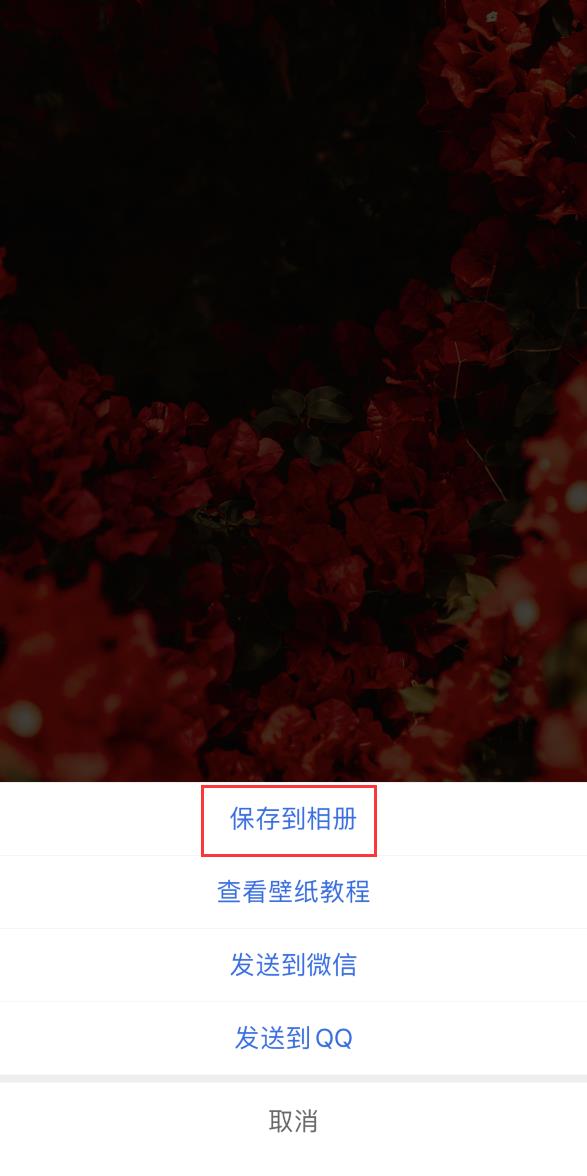 iPhone  12 小技巧：这样换壁纸更省心省事插图3