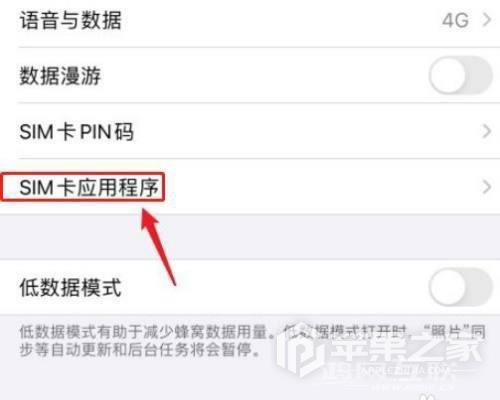 iPhone  SE3流量使用情况在哪里看