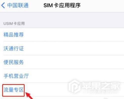 iPhone  SE3流量使用情况在哪里看