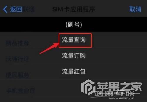 iPhone  SE3流量使用情况在哪里看