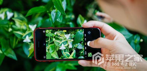 iPhone SE3全网通介绍