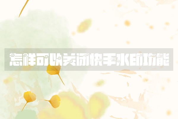 怎样可以关闭快手水印功能