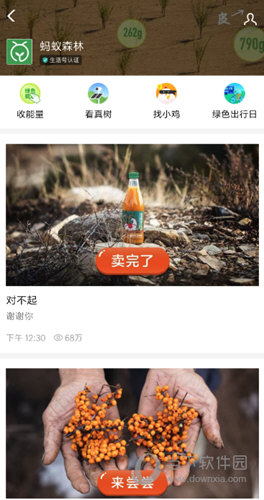 支付宝沙棘汁哪里买 购买方法介绍