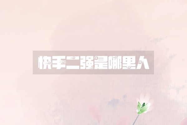 快手二强是哪里人