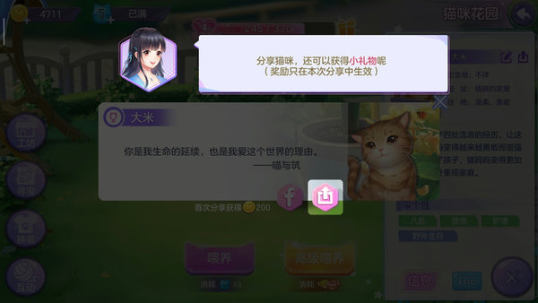 喵与筑手游猫咪养成全攻略进阶篇