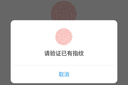 发现精彩设置指纹支付