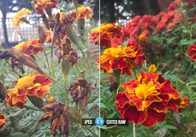 iphone7 raw格式拍照