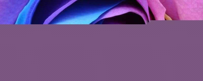 微信怎么拍圆形视频