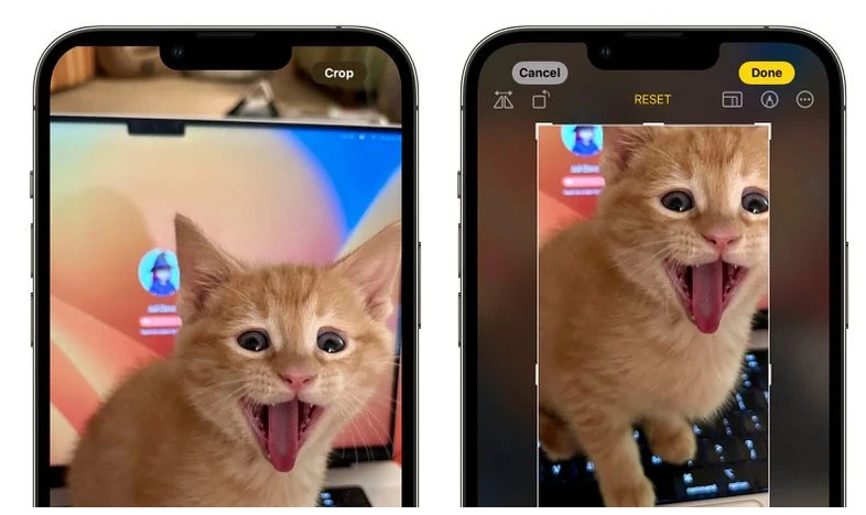 iOS 17 “照片”应用的新操作逻辑指南