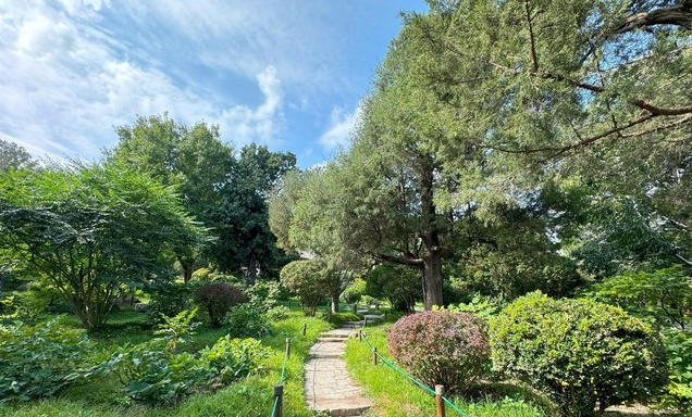 iPhone 15 Pro影像效果怎么样